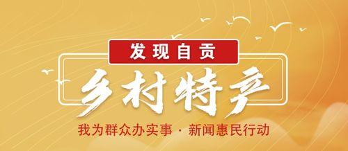 农村爆料标题大全最新,揭秘农村生活那些鲜为人知的真实故事  第3张
